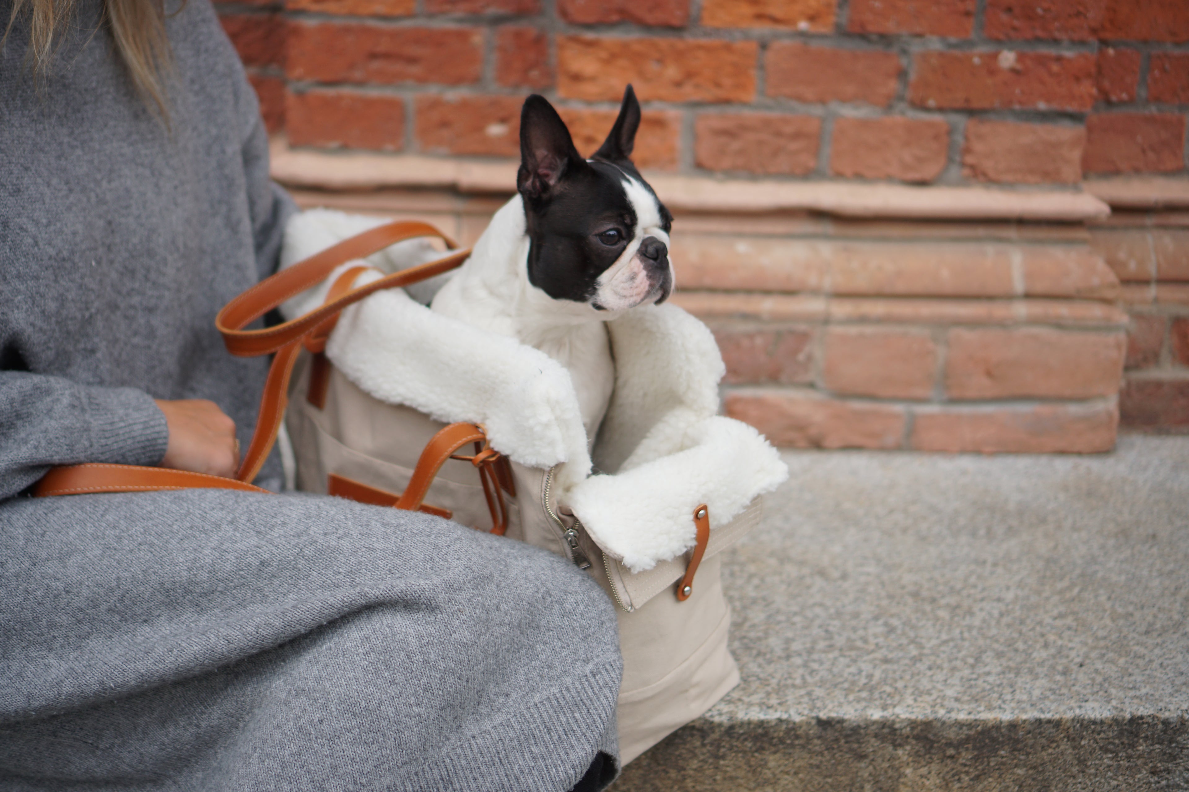 Bolso transportín LIIVA para perros pequeños