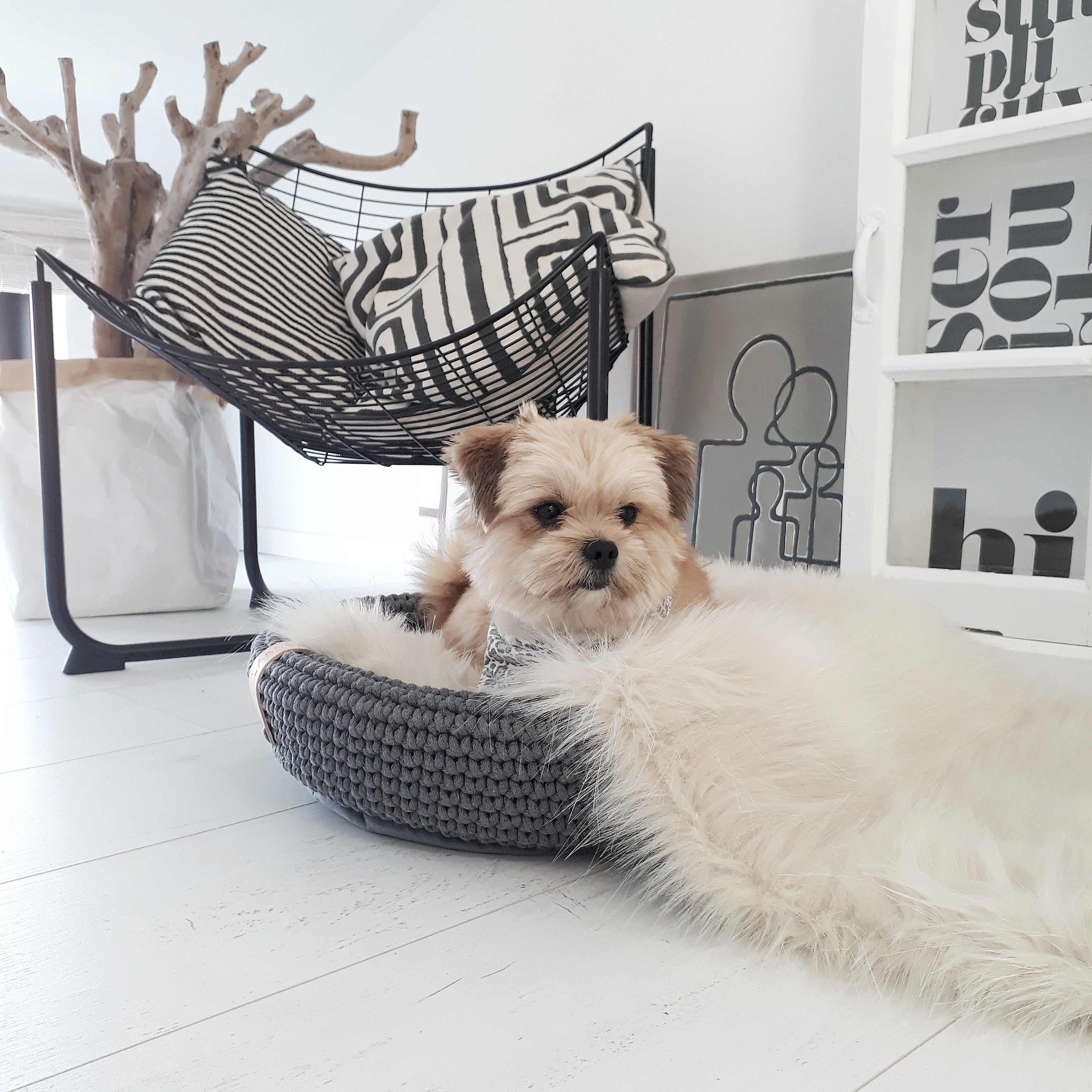 Manta doble cara Föra para perros