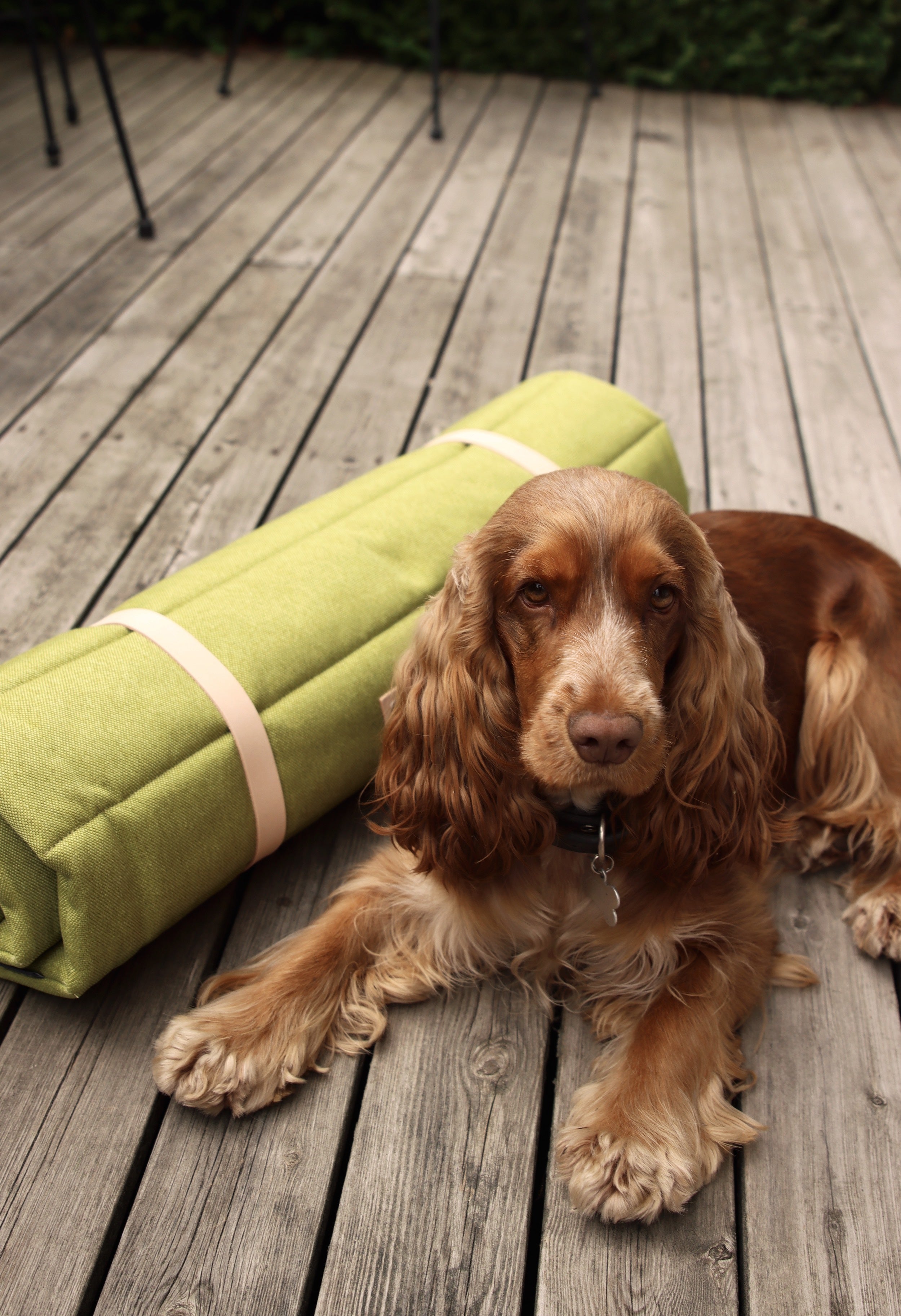 Esterilla Fosser para perros