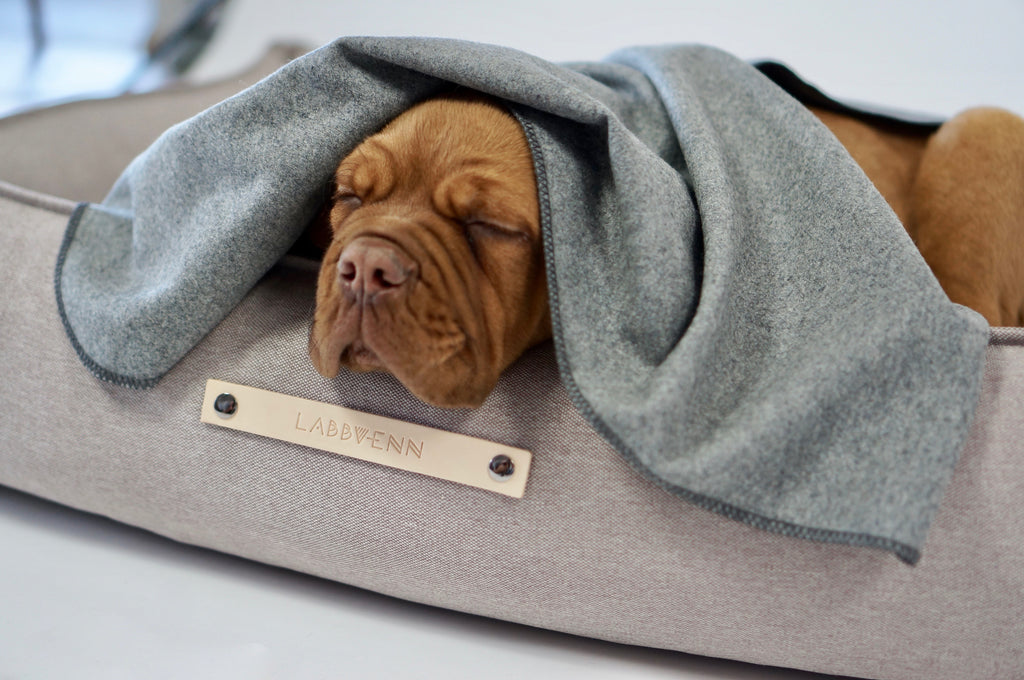 Cama TÖVE para perros