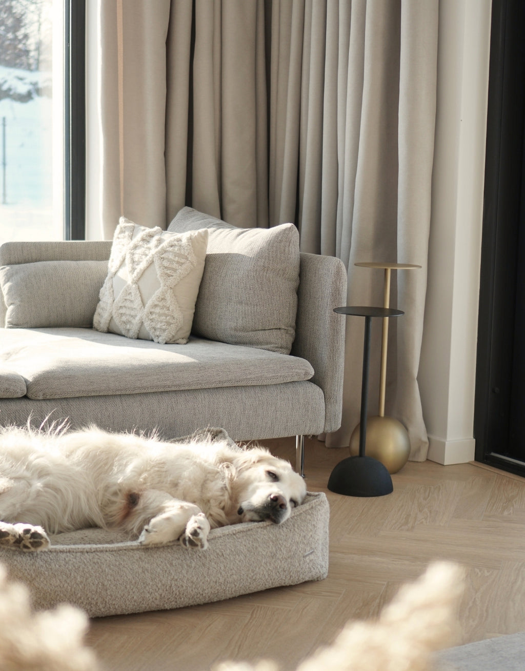 Cama Bukkla Dog Bed en bouclé para perros