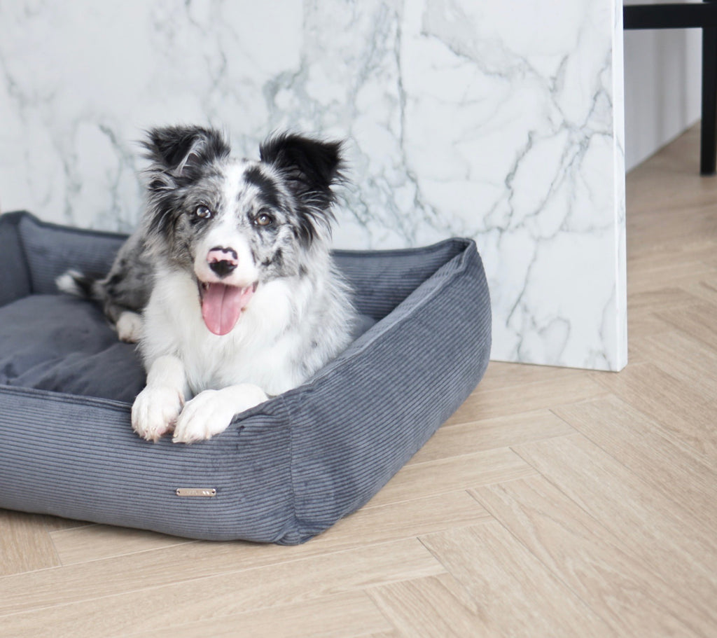 Cama Strippo para perros en pana