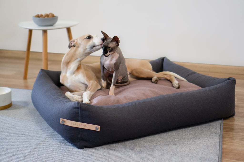 Cama Stokke para perros