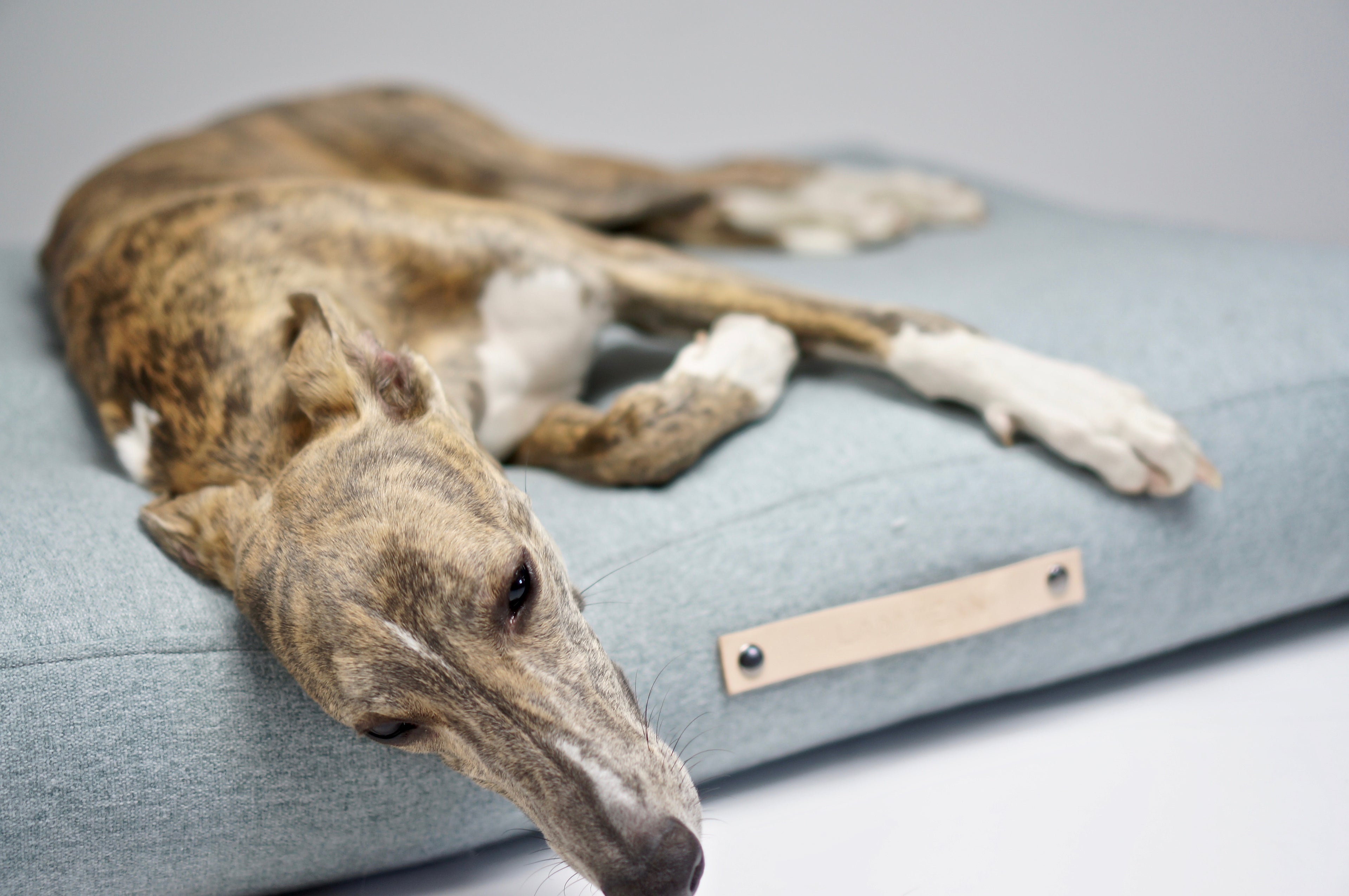Cojín Nordic para perros
