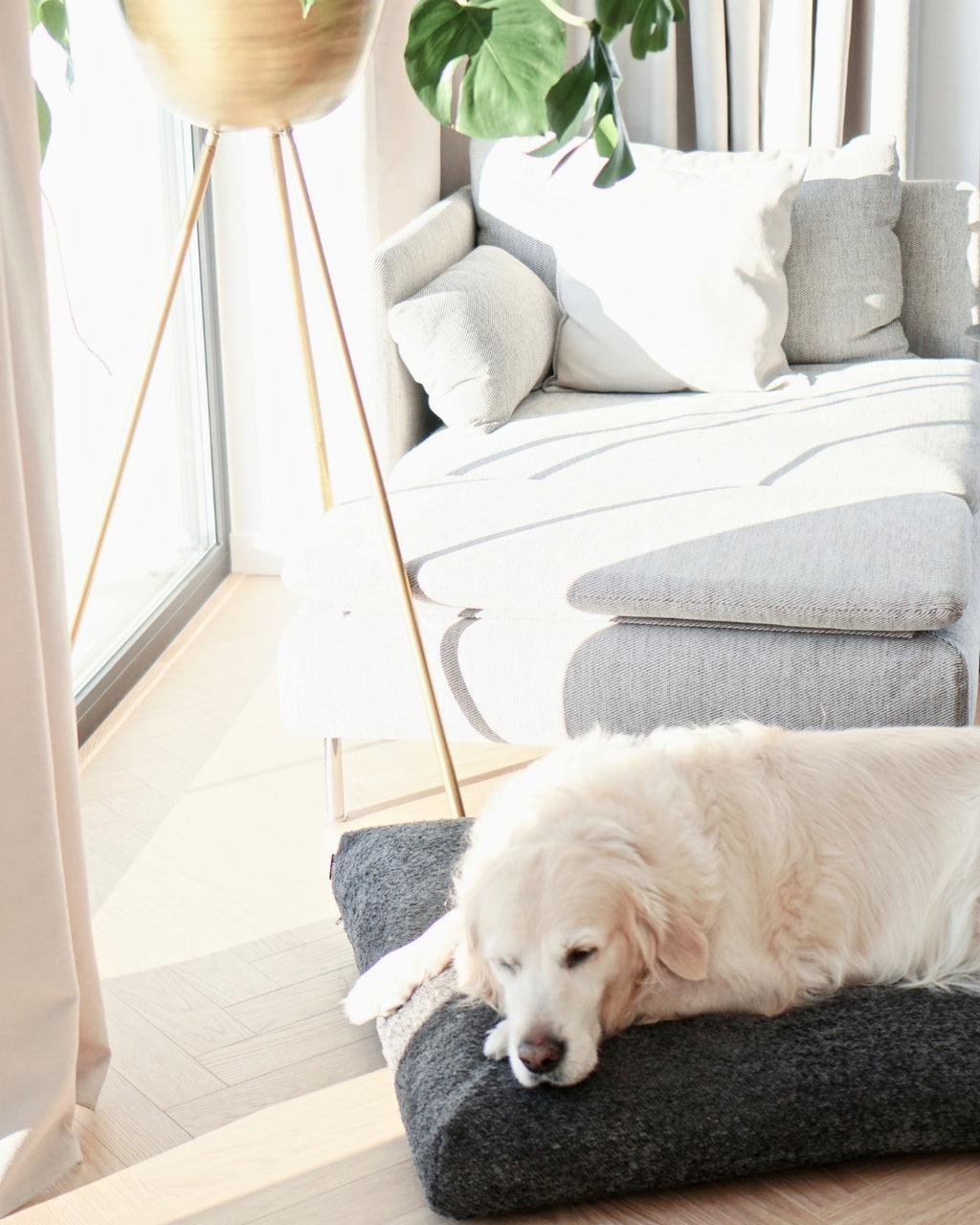 Cojín Buklaa Dog Cushion en bouclé para perros