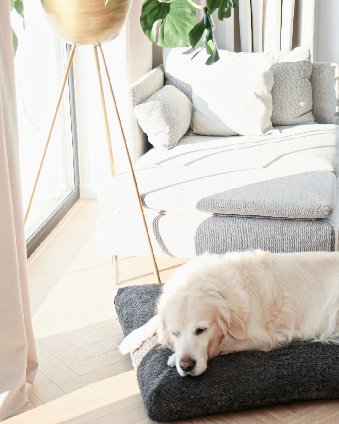 Cojín Buklaa Dog Cushion en bouclé para perros