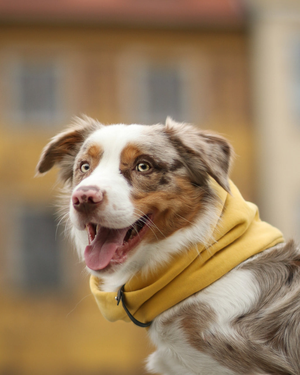 INKO Neck Warmer – LABBVENN
