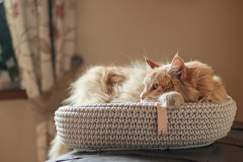 Cesta artesanal Coco Basket para gatos y perros pequeños