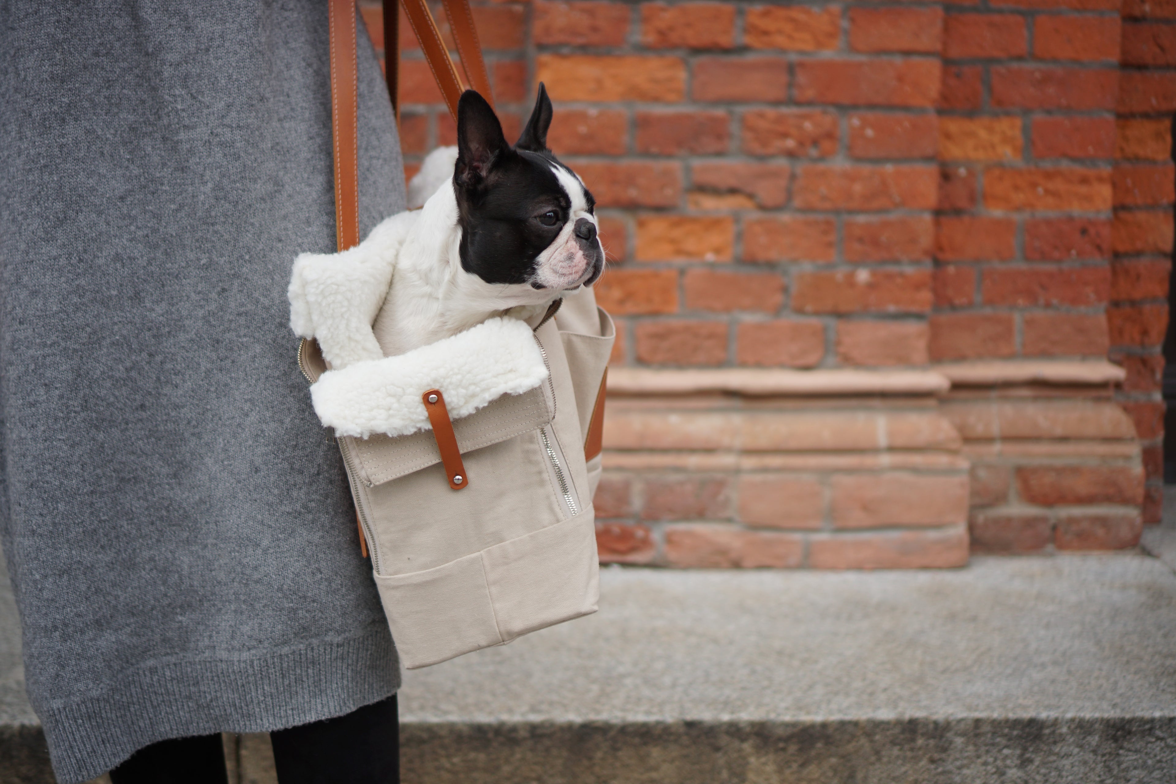 Bolso transportín LIIVA para perros pequeños