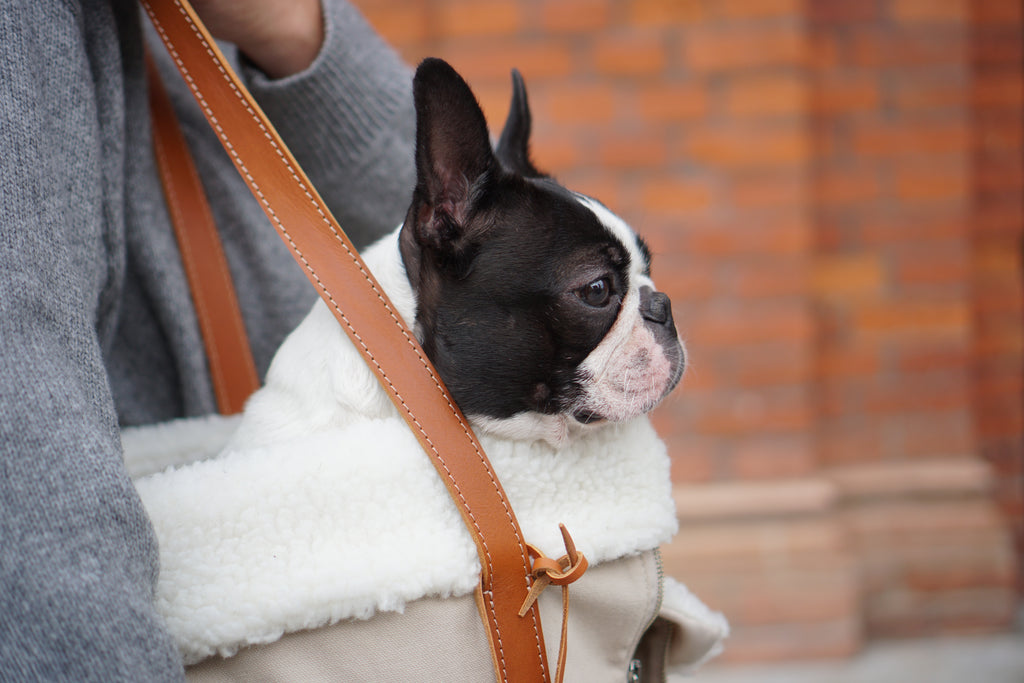 Bolso transportín LIIVA para perros pequeños