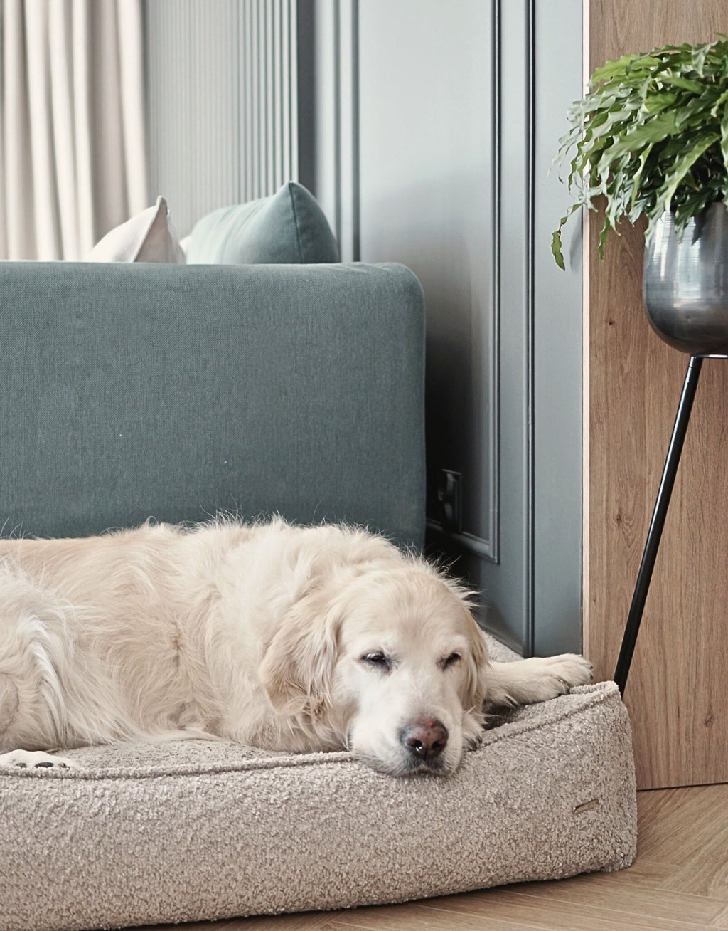 Cama Bukkla Dog Bed en bouclé para perros