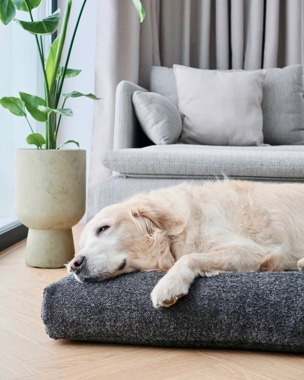 Cojín Buklaa Dog Cushion en bouclé para perros