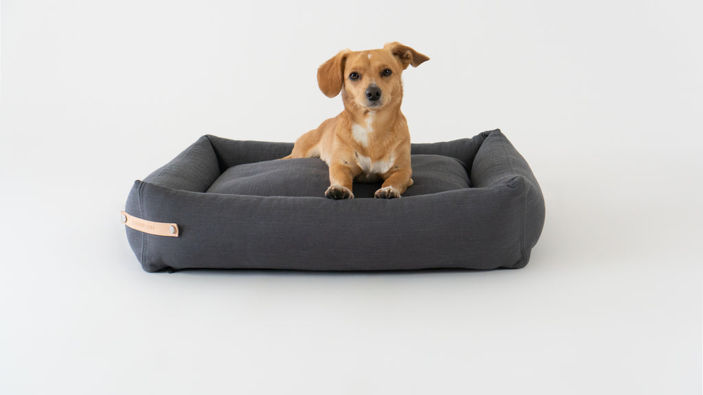 Cama Stokke para perros
