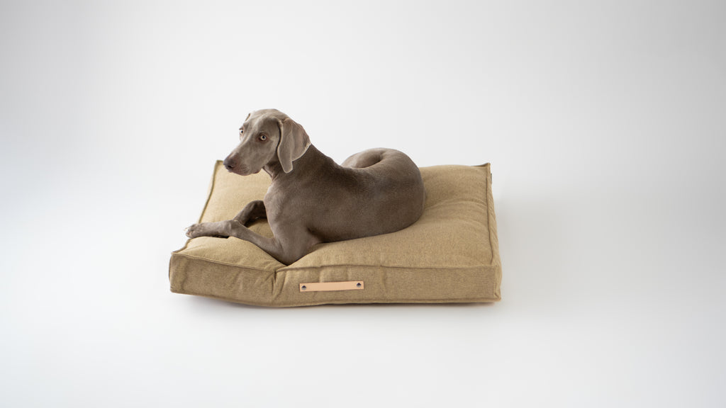 Cojín MØVIK para perros