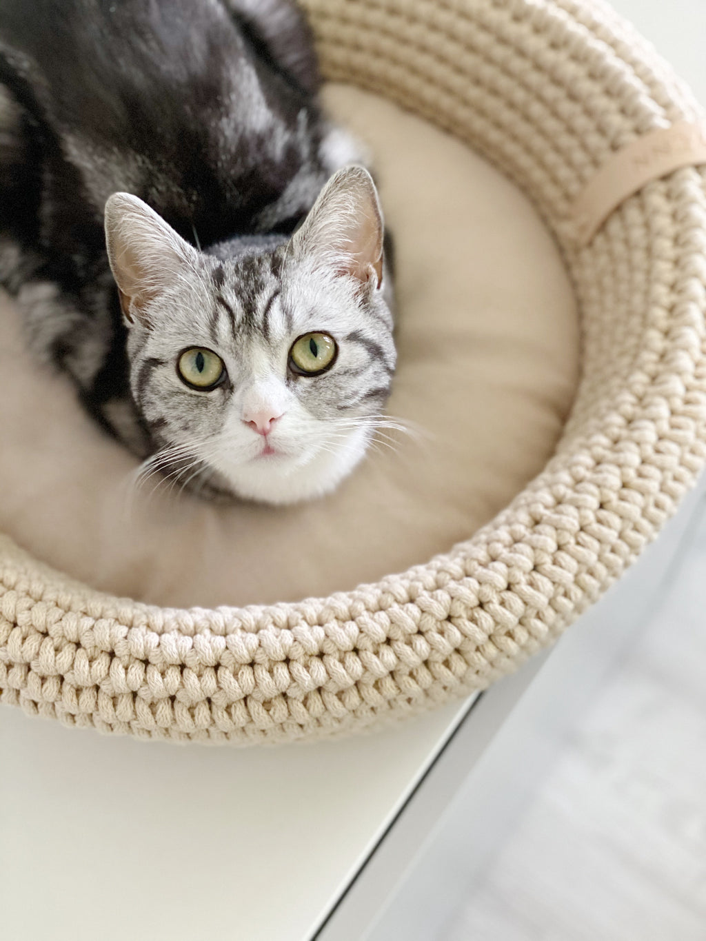 Cesta artesanal Coco Basket para gatos y perros pequeños