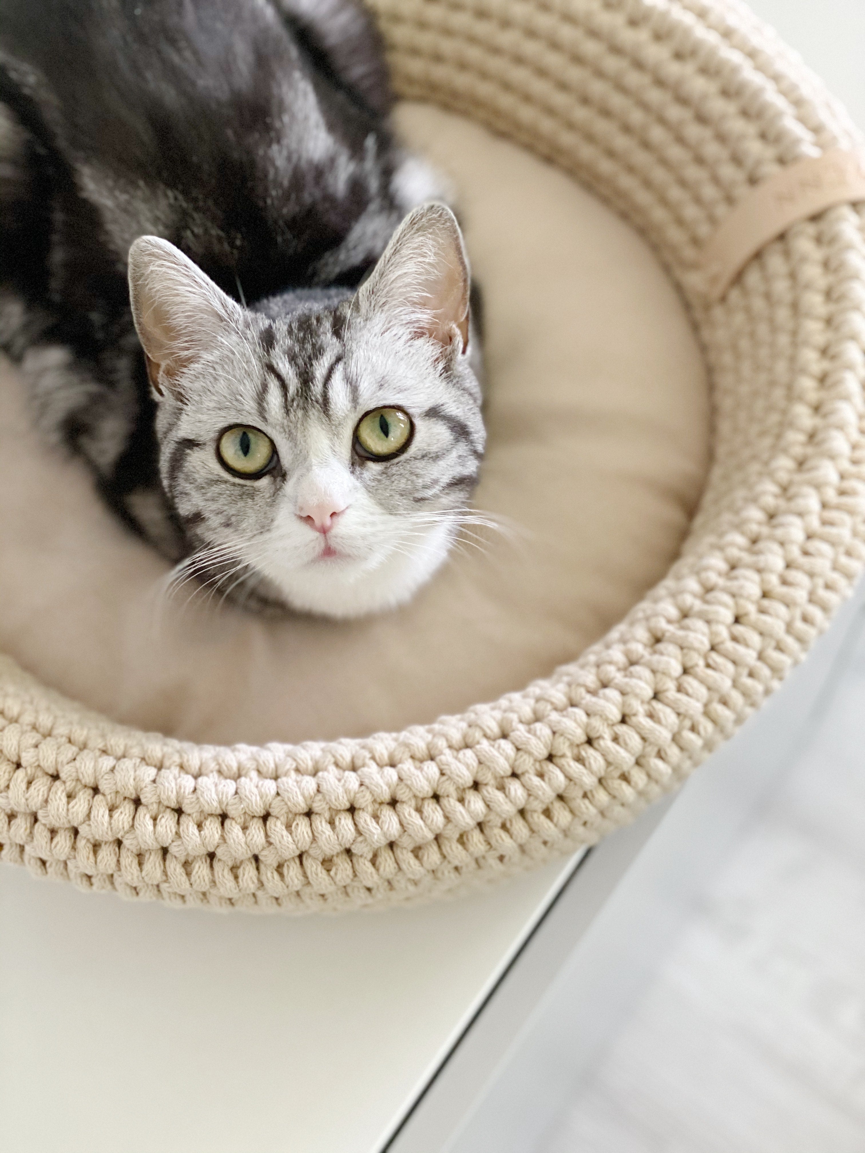 Cesta artesanal Coco Basket para gatos y perros pequeños