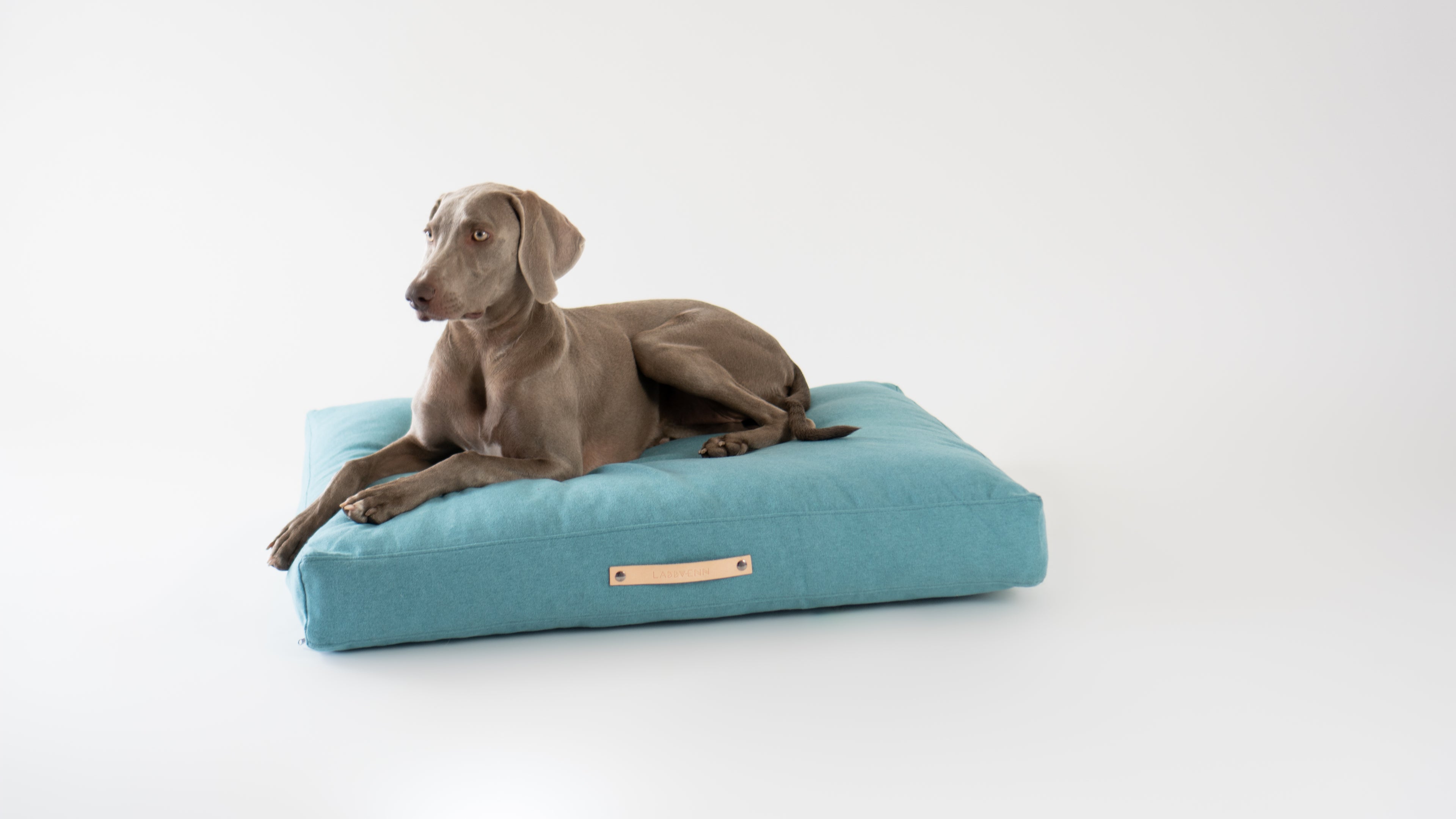 Cojín Nordic para perros