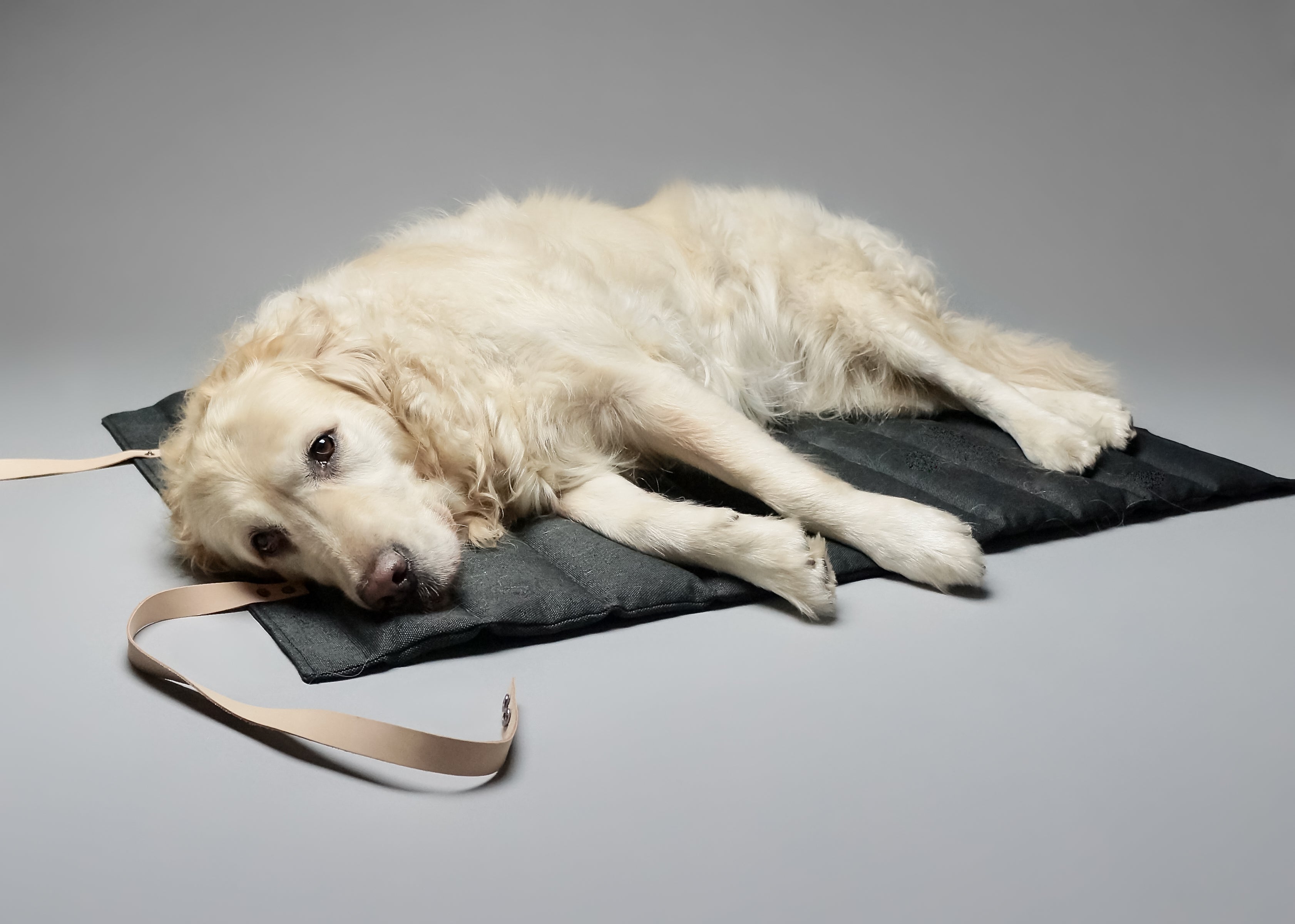 Esterilla Fosser para perros