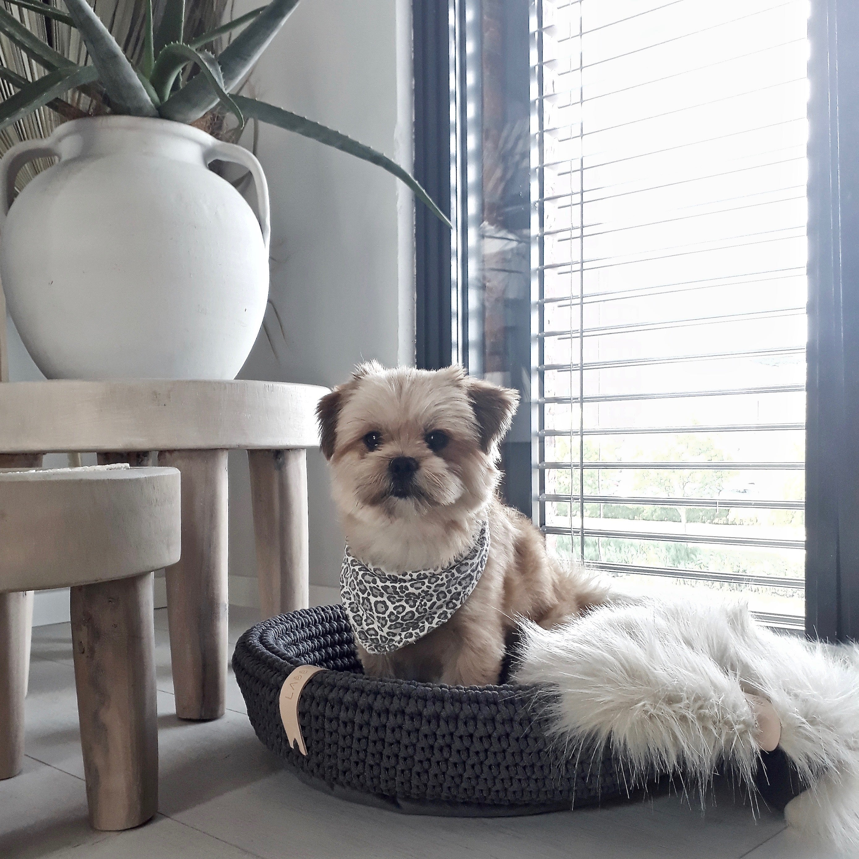 Cesta artesanal Coco Basket para gatos y perros pequeños