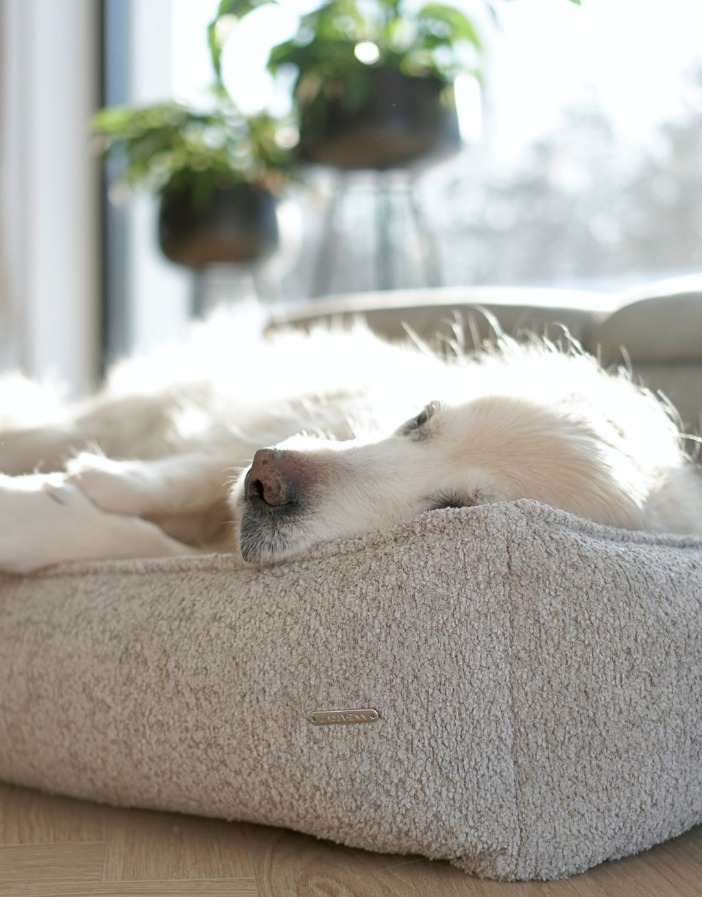 Cama Bukkla Dog Bed en bouclé para perros