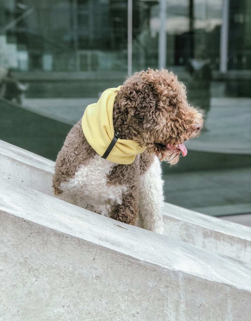 INKO Neck Warmer – LABBVENN