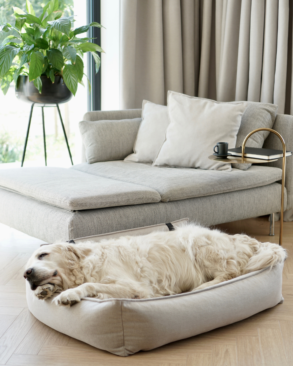 Cama ortopédica Orteo para perros