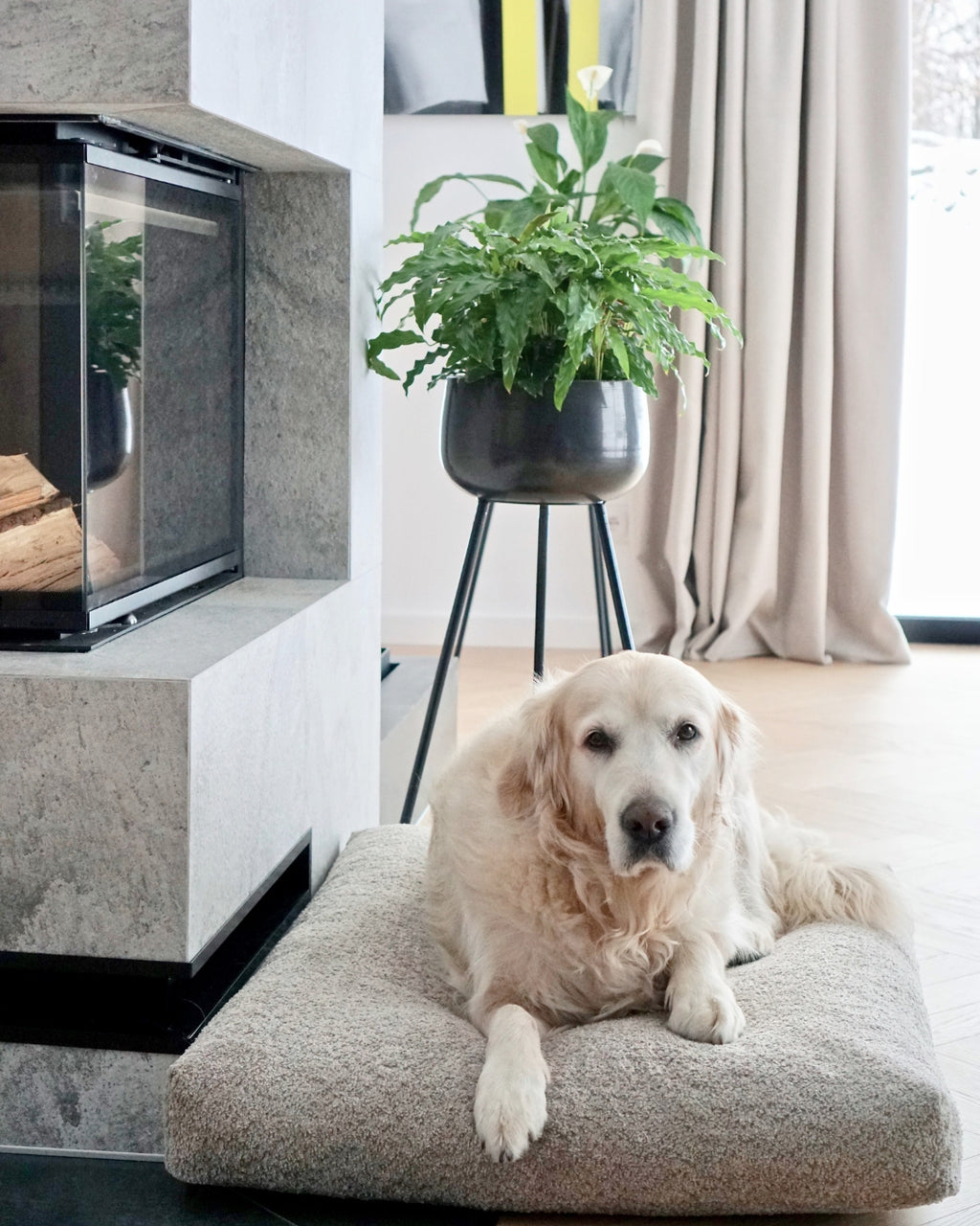 Cojín Buklaa Dog Cushion en bouclé para perros