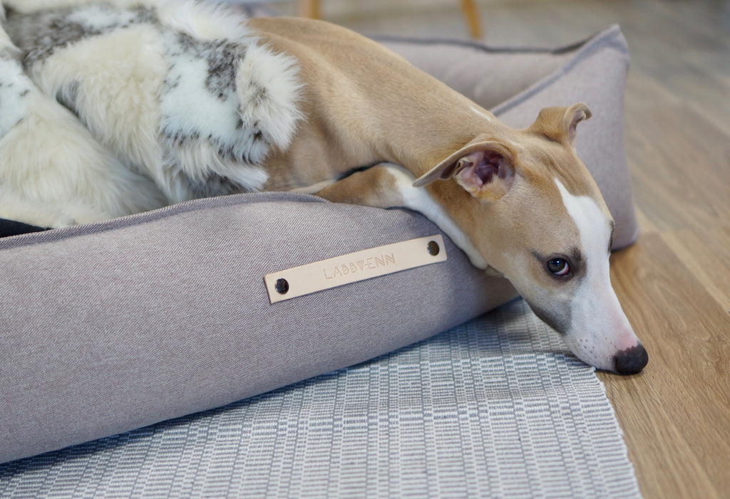 Cama TÖVE para perros