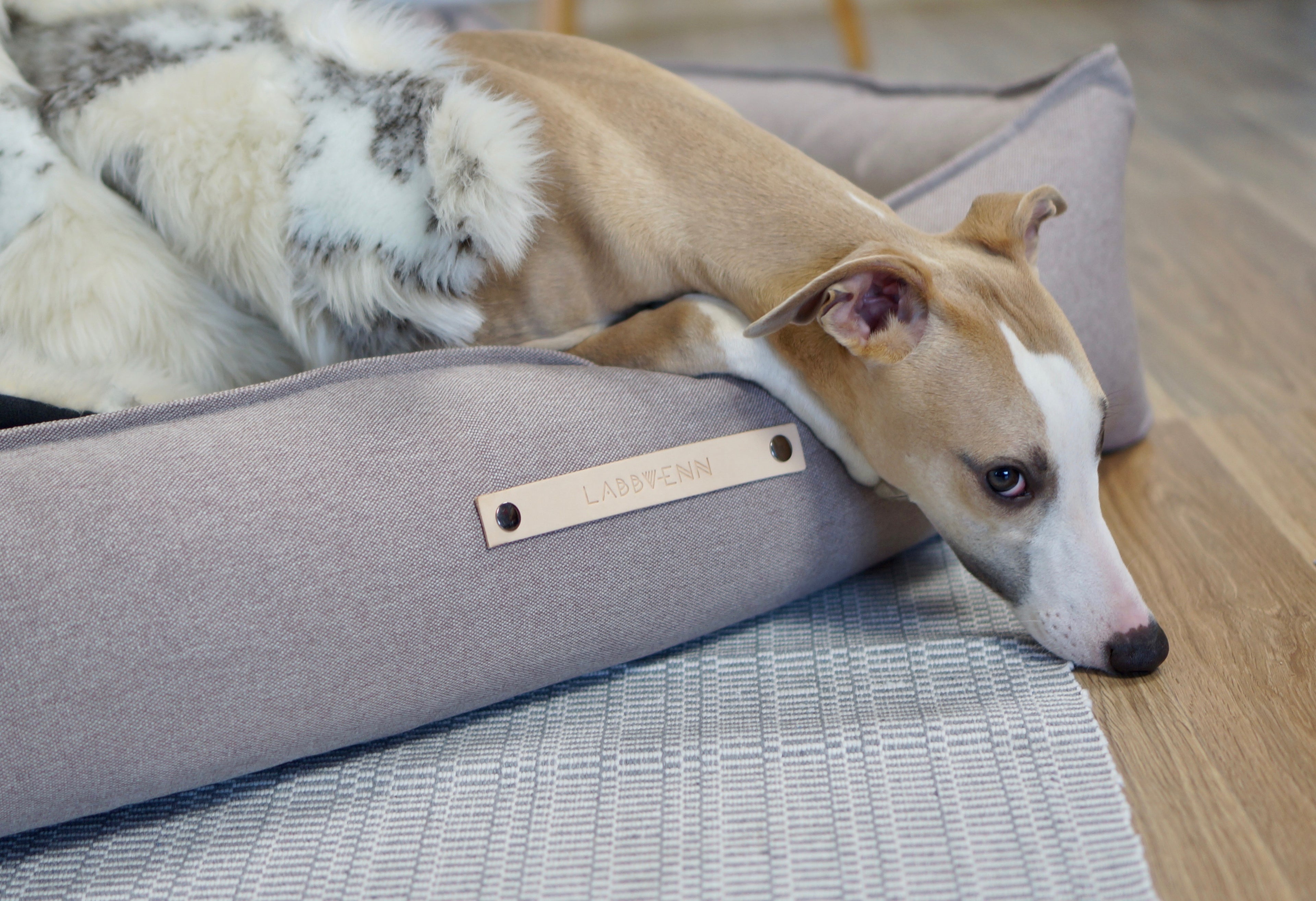 Cama TÖVE para perros