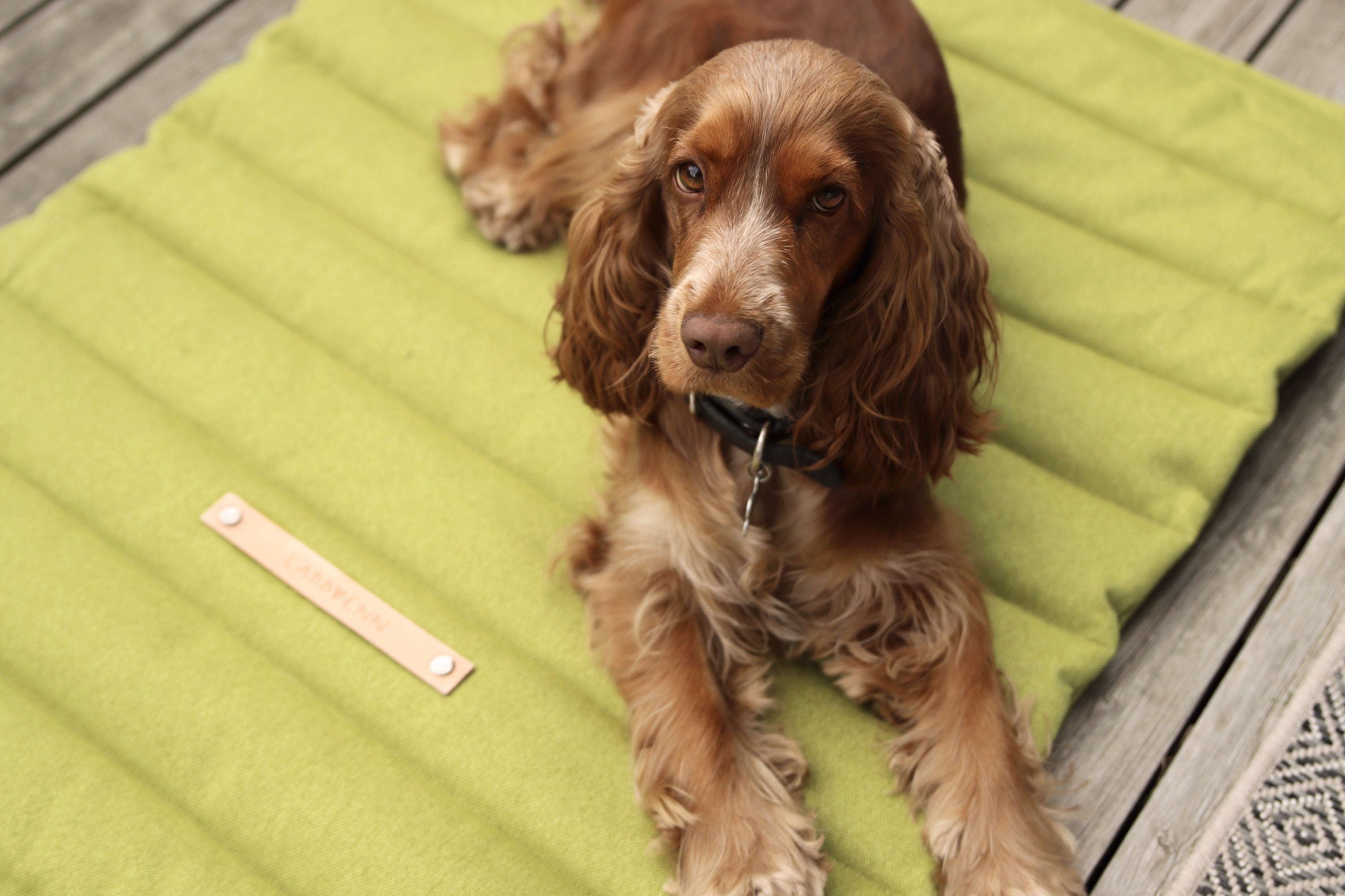 Esterilla Fosser para perros