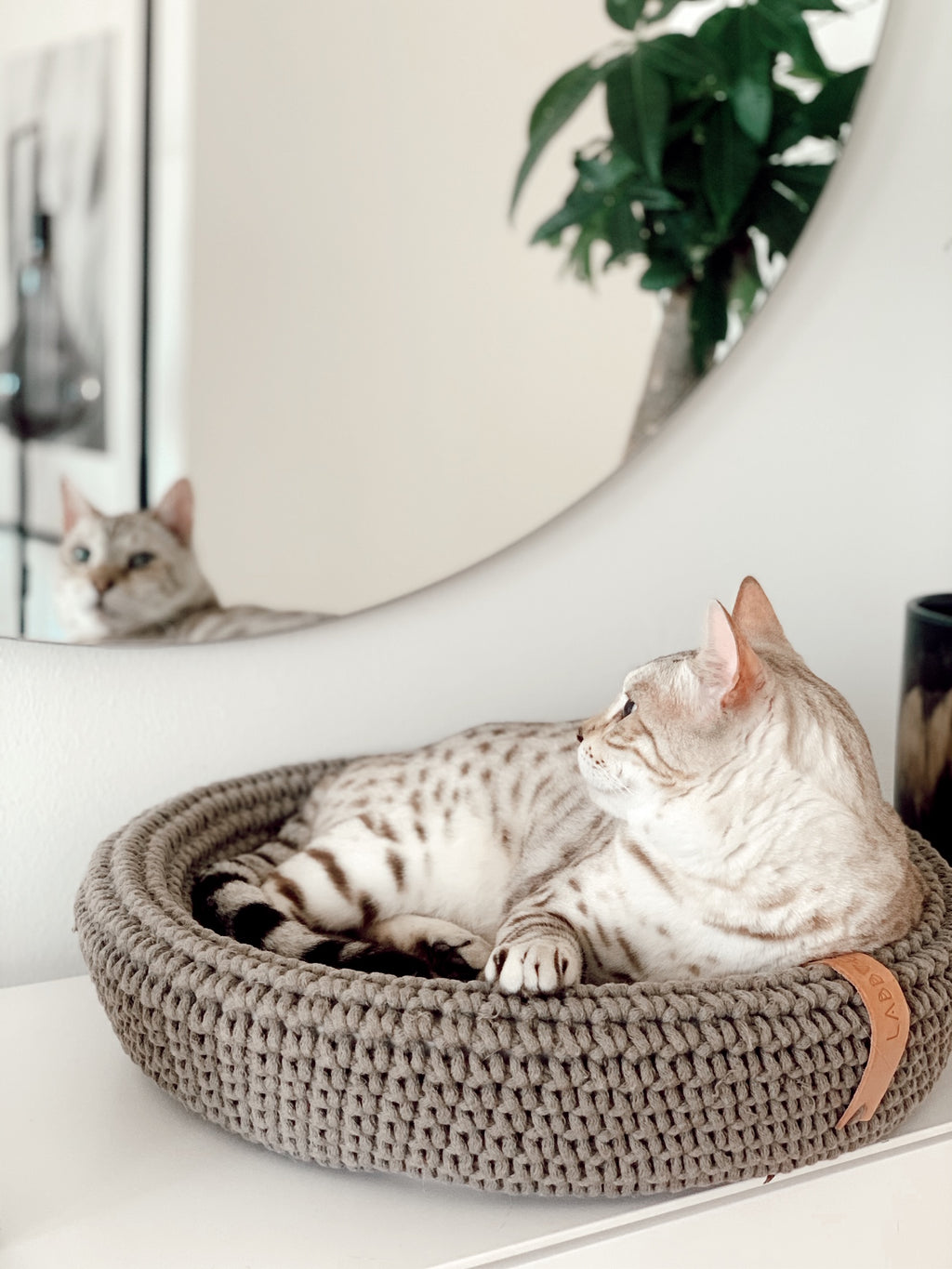 Cesta artesanal Coco Basket para gatos y perros pequeños