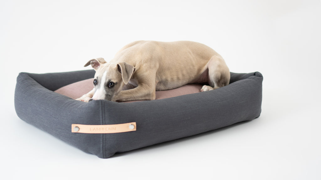Cama Stokke para perros