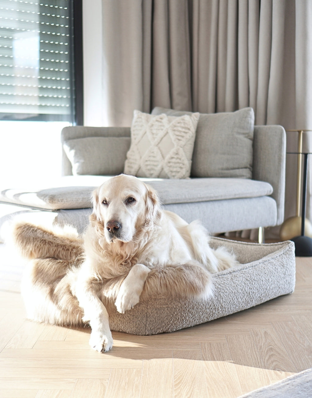 Cama Bukkla Dog Bed en bouclé para perros