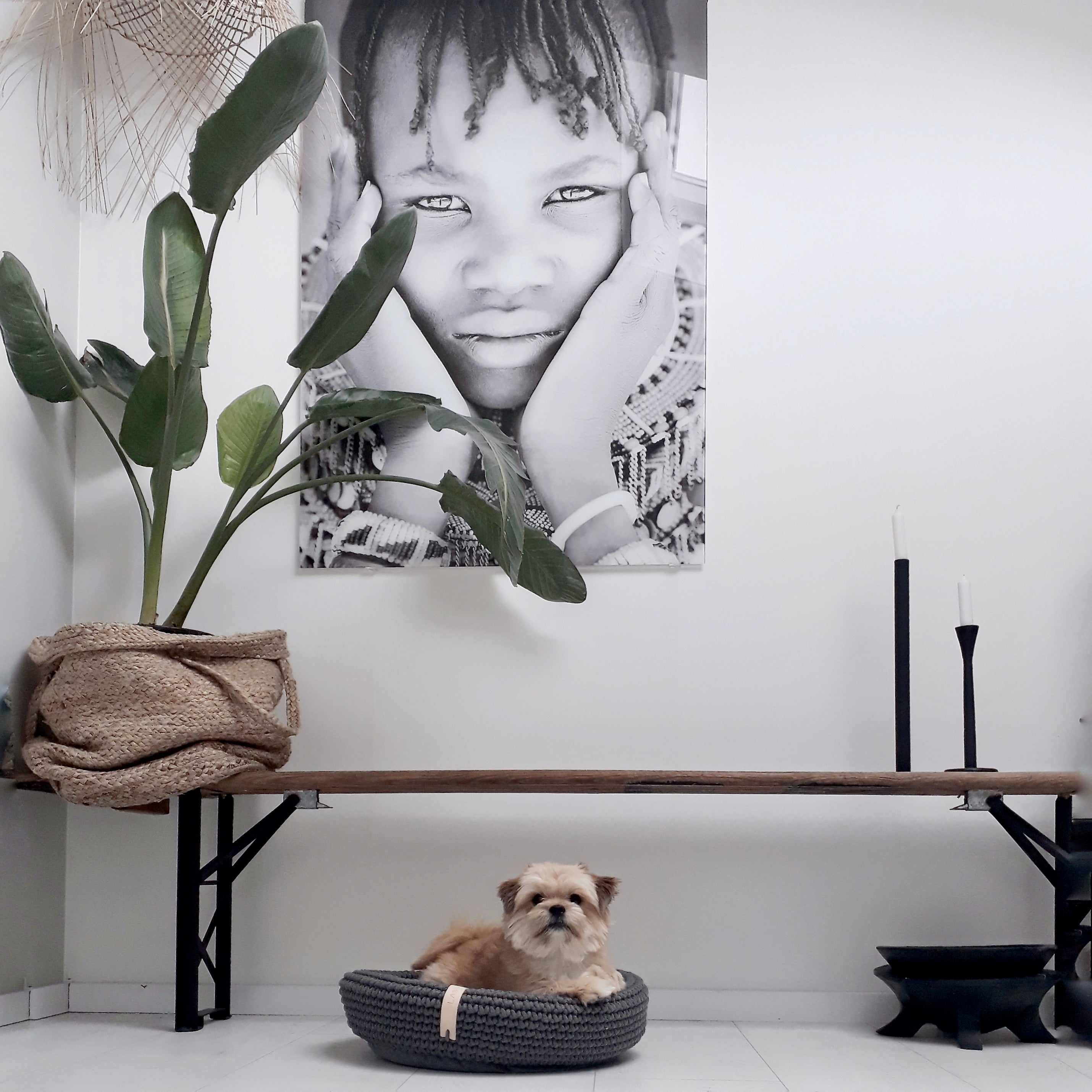Cesta artesanal Coco Basket para gatos y perros pequeños