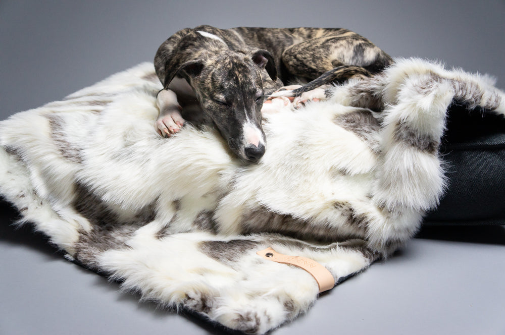Manta doble cara Tösse para perros