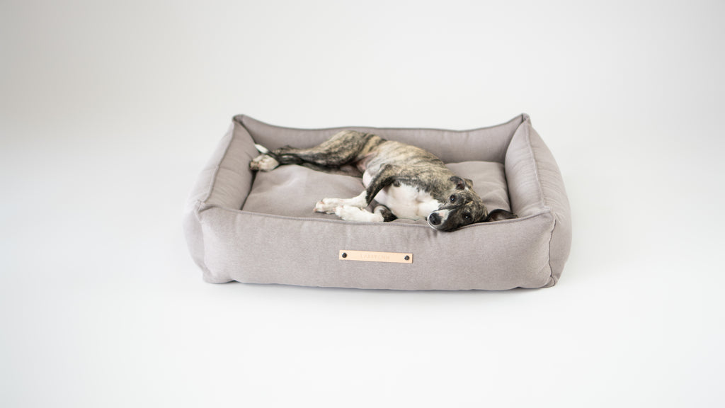 Cama TÖVE para perros