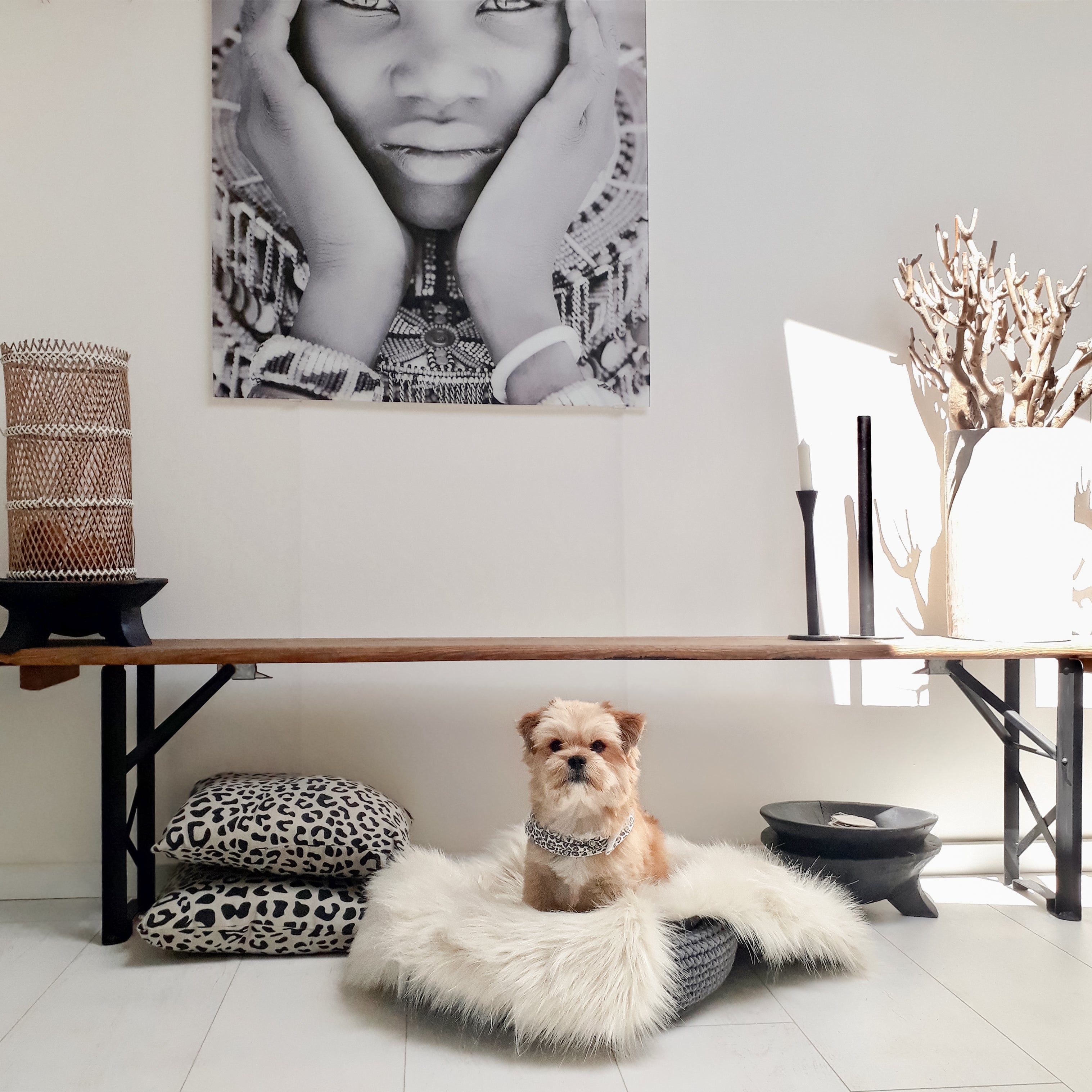 Cesta artesanal Coco Basket para gatos y perros pequeños
