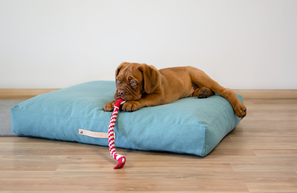 Cojín Nordic para perros