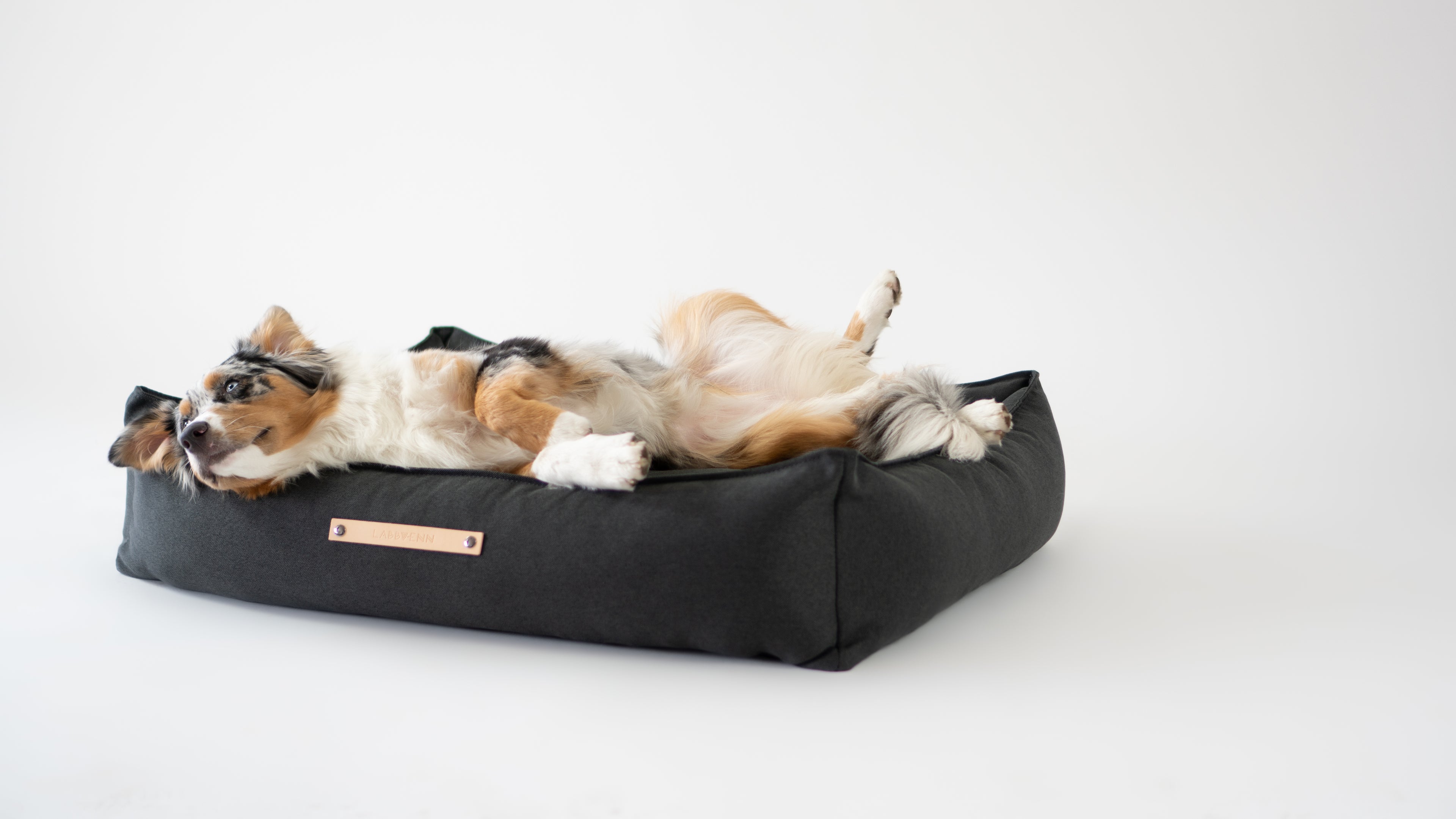 Cama TÖVE para perros