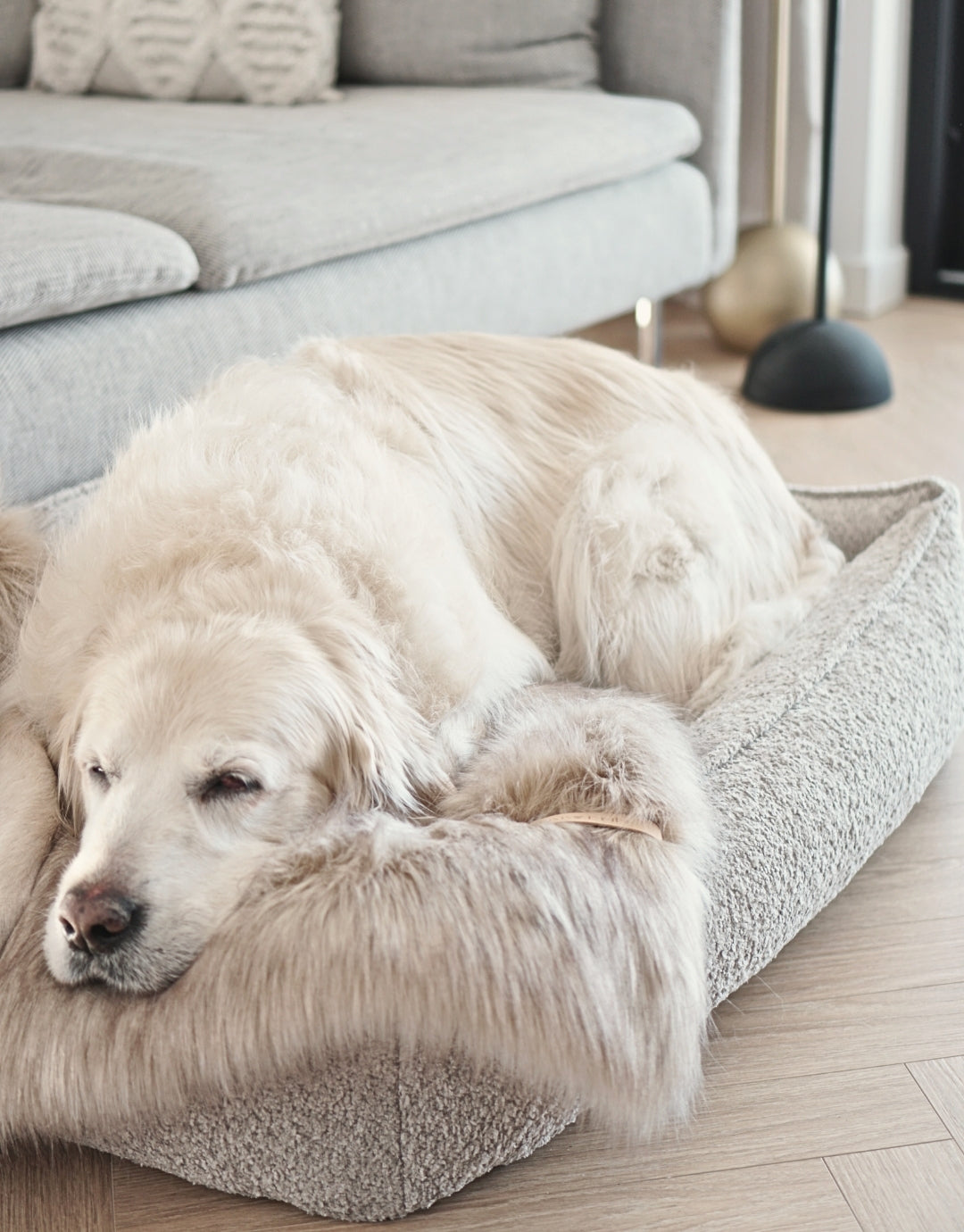 Cama Bukkla Dog Bed en bouclé para perros