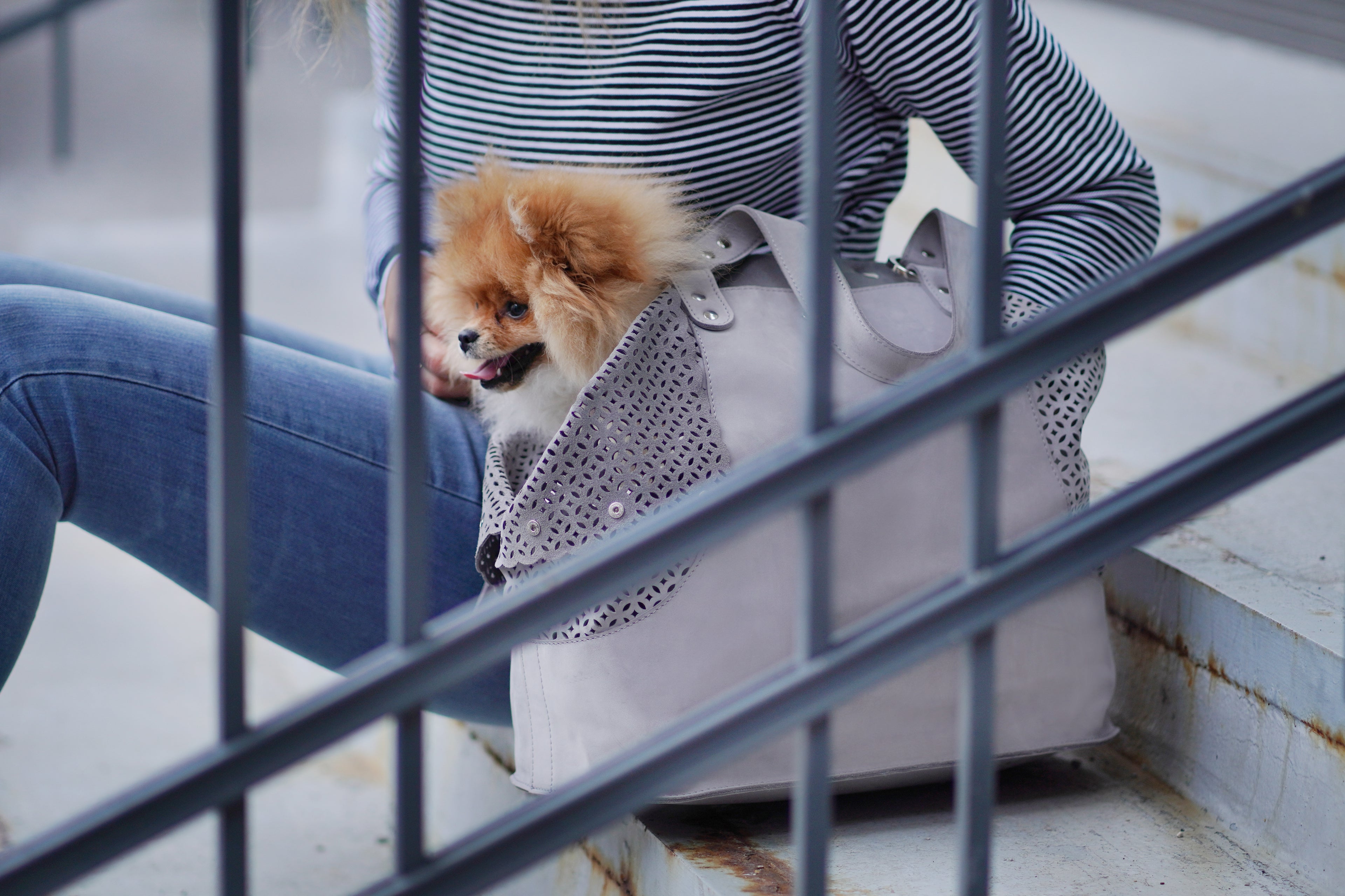 Bolso transportín ELVA de nubuck para perros