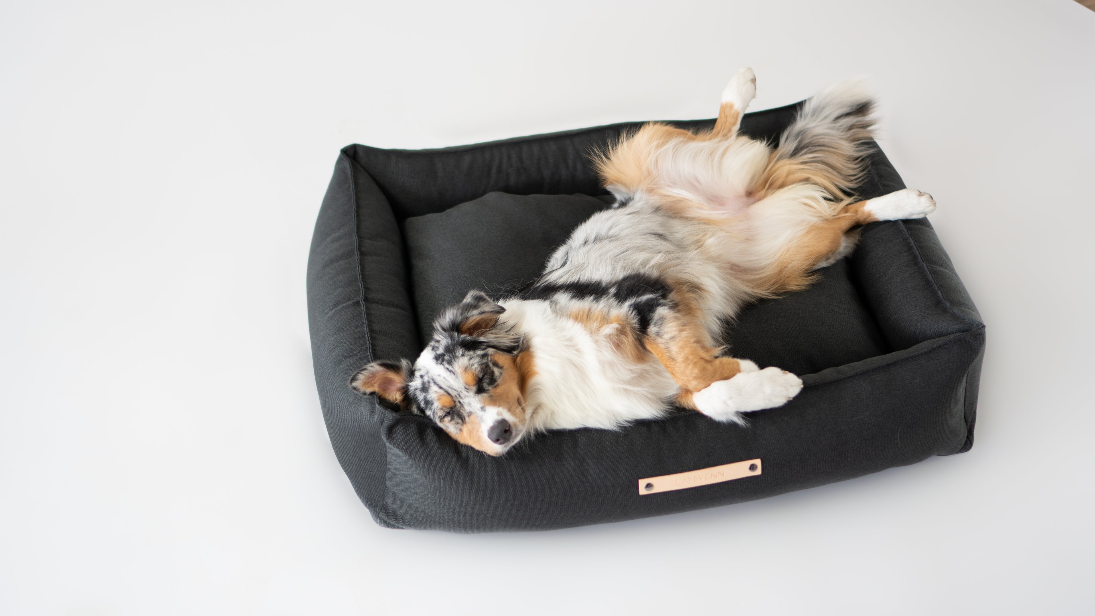 Cama TÖVE para perros