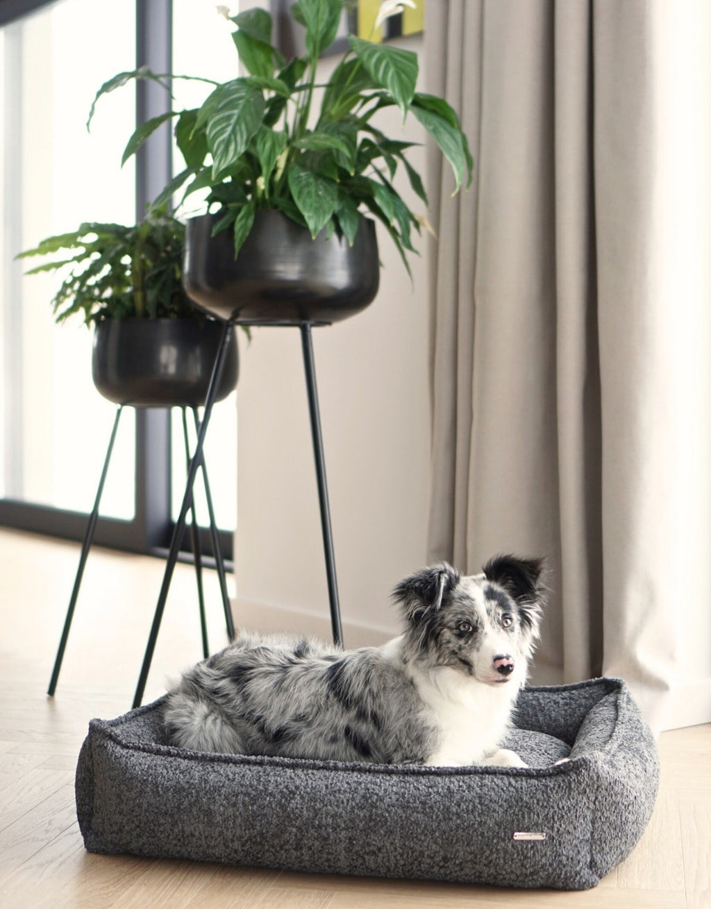Cama Bukkla Dog Bed en bouclé para perros