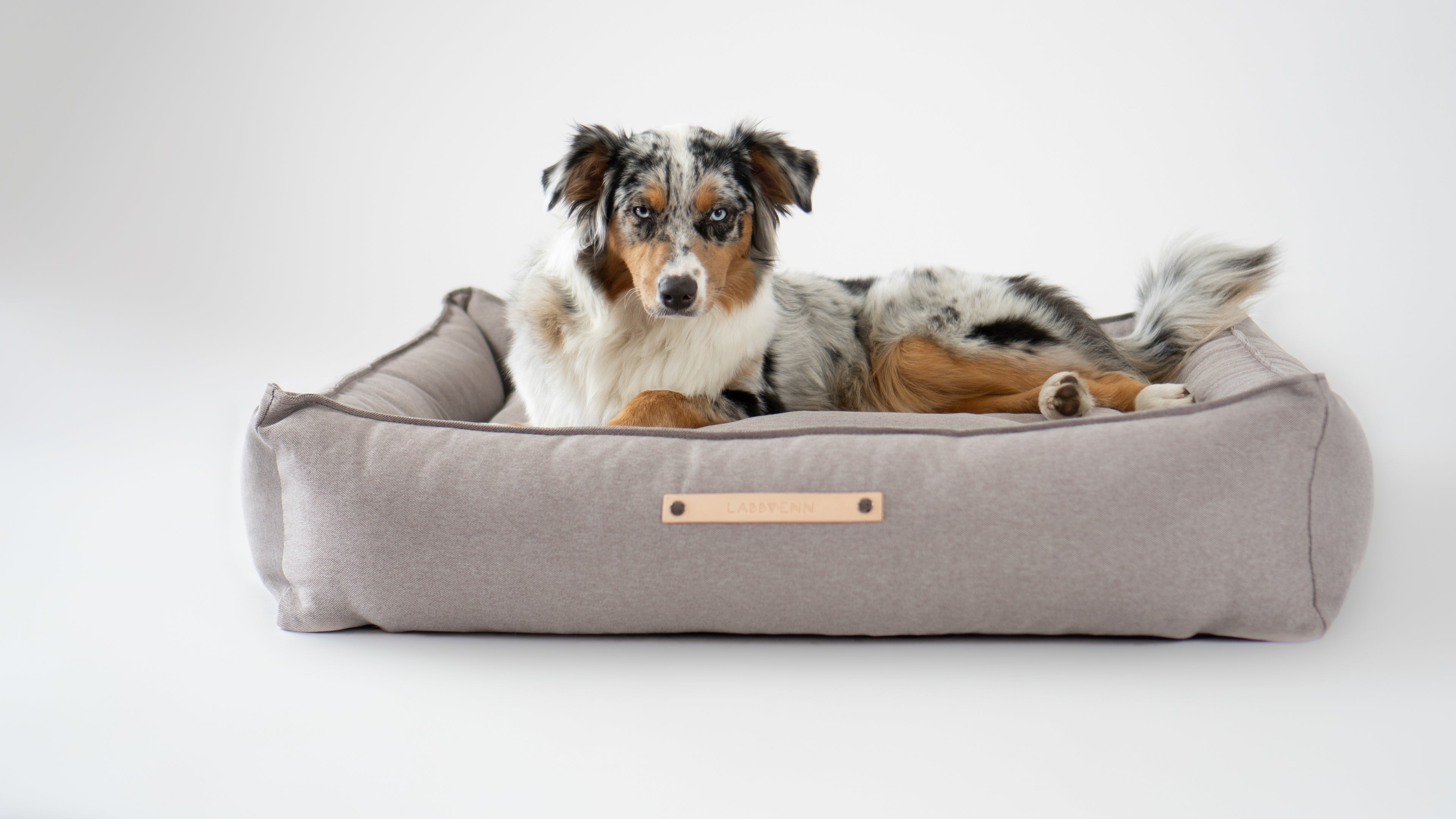 Cama TÖVE para perros