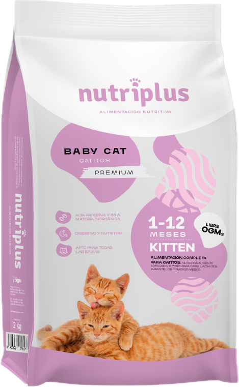 Nutriplus Kitten — Pienso para Gatitos 4-12 Meses